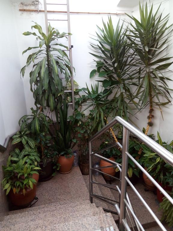 Residencial Moeda Otel Coimbra Dış mekan fotoğraf